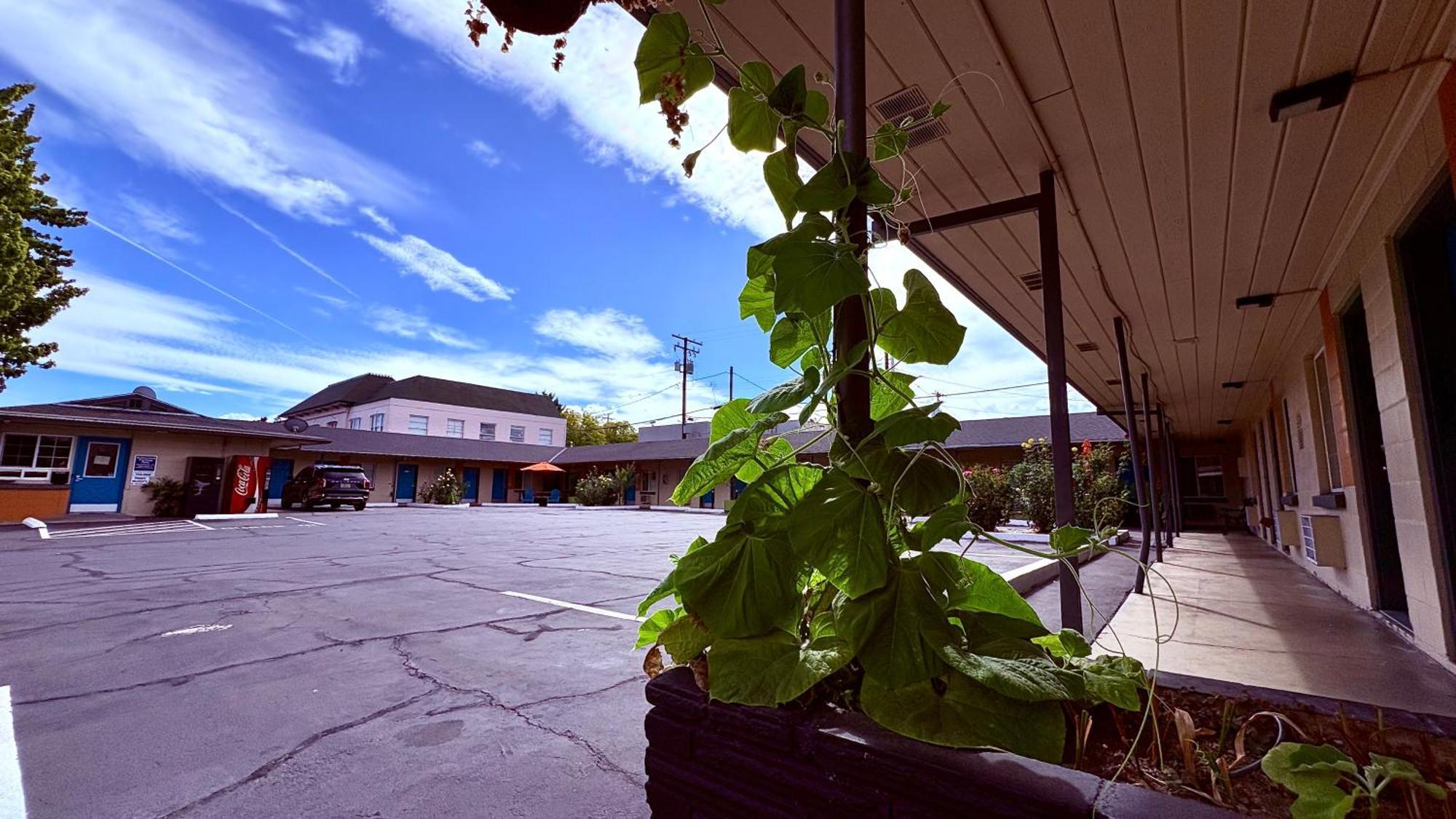 City Center Motel Medford Exterior photo